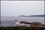 DSC03439.jpg