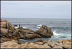 DSC03440.jpg