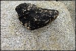 DSC03442.jpg