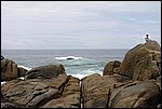 DSC03444.jpg