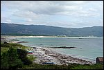 DSC03450.jpg